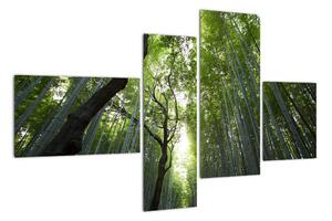 Obraz lesů (110x70cm)
