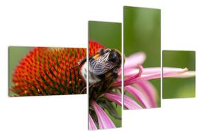 Obraz včely na květu (110x70cm)