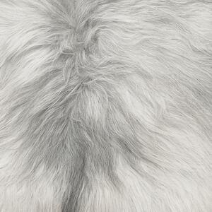 Skinnwille Home Collection Islandská ovčí kožešina Molly, přírodní světle šedá, 90 cm