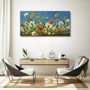 Obraz na plátně Obraz na plátně Malování květiny louka