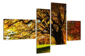 Obraz podzimní krajiny (110x70cm)