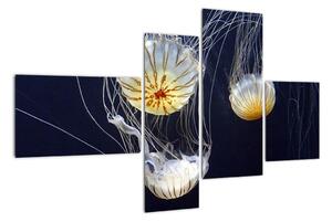 Obraz - medúzy (110x70cm)