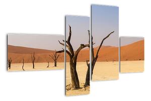 Obraz pouště (110x70cm)