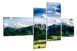 Horský výhled - moderní obrazy (110x70cm)