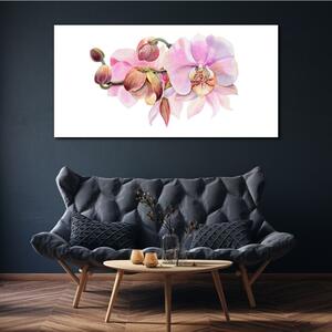 Obraz na plátně Obraz na plátně Akvarel orchidej květina
