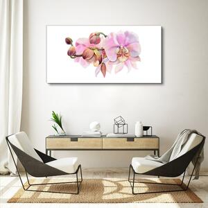 Obraz na plátně Obraz na plátně Akvarel orchidej květina