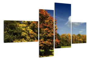 Podzimní krajina, obraz (110x70cm)