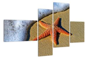 Obraz s mořskou hvězdou (110x70cm)