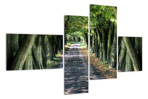 Údolí stromů, obrazy (110x70cm)