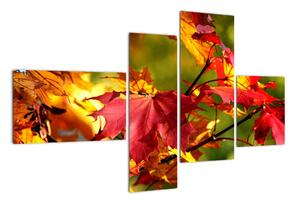 Podzimní listí, obraz (110x70cm)