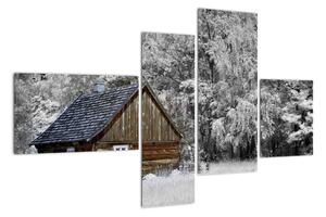 Chaloupka v zimě, obrazy (110x70cm)
