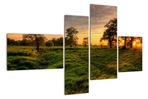 Západ slunce v krajině, obrazy (110x70cm)