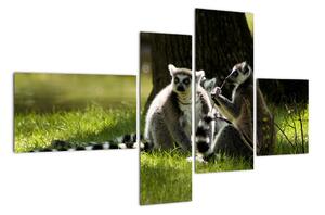 Obraz lemurů (110x70cm)