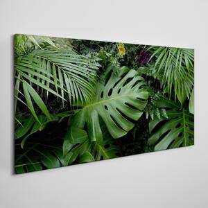 Obraz na plátně Obraz na plátně Tropické džungle listy