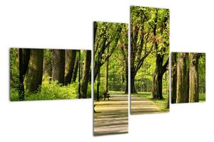 Cesta v parku - obraz (110x70cm)
