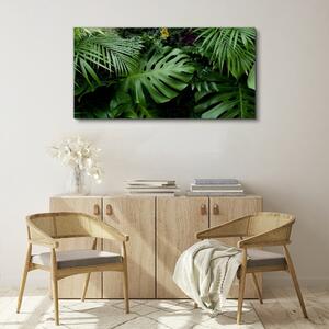 Obraz na plátně Obraz na plátně Tropické džungle listy