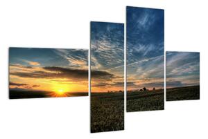 Západ slunce na poli - moderní obraz (110x70cm)