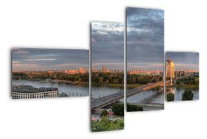 Pohled na město - obraz (110x70cm)