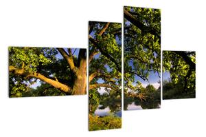 Obraz stromu (110x70cm)