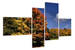 Podzimní stromy - moderní obraz (110x70cm)