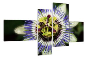 Obrazy květin (110x70cm)