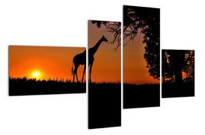 Obraz žirafy v přírodě (110x70cm)