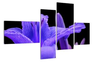 Obrazy květiny (110x70cm)
