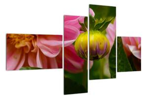 Obraz květu rostliny (110x70cm)