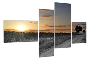 Západ slunce - obraz (110x70cm)