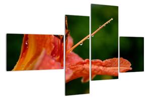 Obrázek květiny (110x70cm)