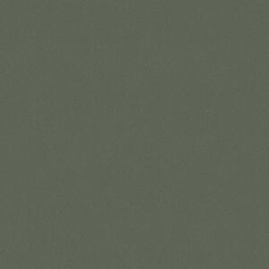 Vliesová tapeta na zeď, mechová zelená, 7592, Pigment, Borastapeter