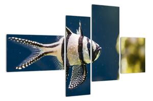 Ryba - obraz (110x70cm)