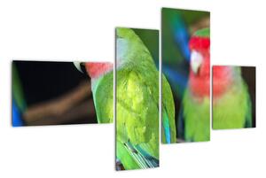 Papoušci - obraz (110x70cm)