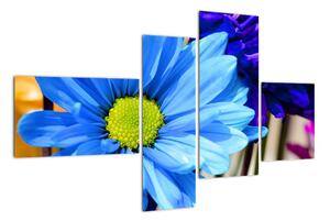 Modrá chryzantéma - obrazy (110x70cm)