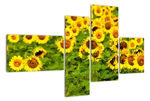Obraz slunečnice (110x70cm)