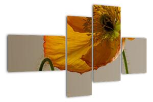Žlutá květina - obraz (110x70cm)
