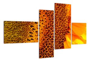Detail slunečnice - obraz (110x70cm)