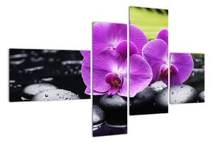 Obraz - orchidej (110x70cm)