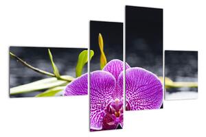 Květ orchideje - obraz (110x70cm)