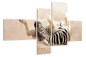 Obraz zebry (110x70cm)