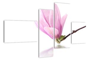 Květ - obraz (110x70cm)