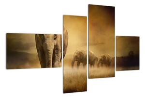 Obraz slona (110x70cm)