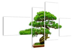 Bonsai - moderní obraz (110x70cm)