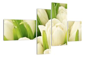 Detail tulipánů - obraz (110x70cm)