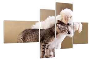 Kotě a štěně - obraz (110x70cm)