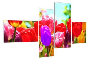 Tulipány - obraz (110x70cm)