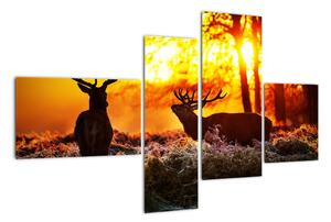 Fotka jelenů - obraz (110x70cm)
