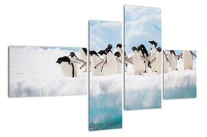 Tučňáci - obraz (110x70cm)