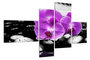 Obraz orchidejí (110x70cm)