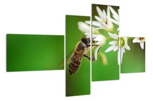 Fotka včely - obraz (110x70cm)